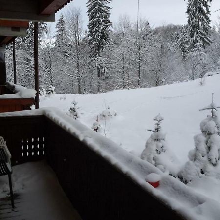 Fairytale Apartment Close To Bradu Ski Slope Poiana Braşov Dış mekan fotoğraf