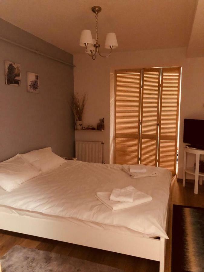 Fairytale Apartment Close To Bradu Ski Slope Poiana Braşov Dış mekan fotoğraf