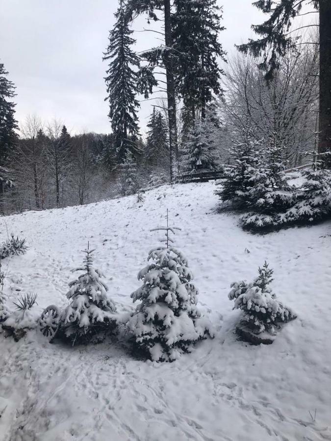 Fairytale Apartment Close To Bradu Ski Slope Poiana Braşov Dış mekan fotoğraf