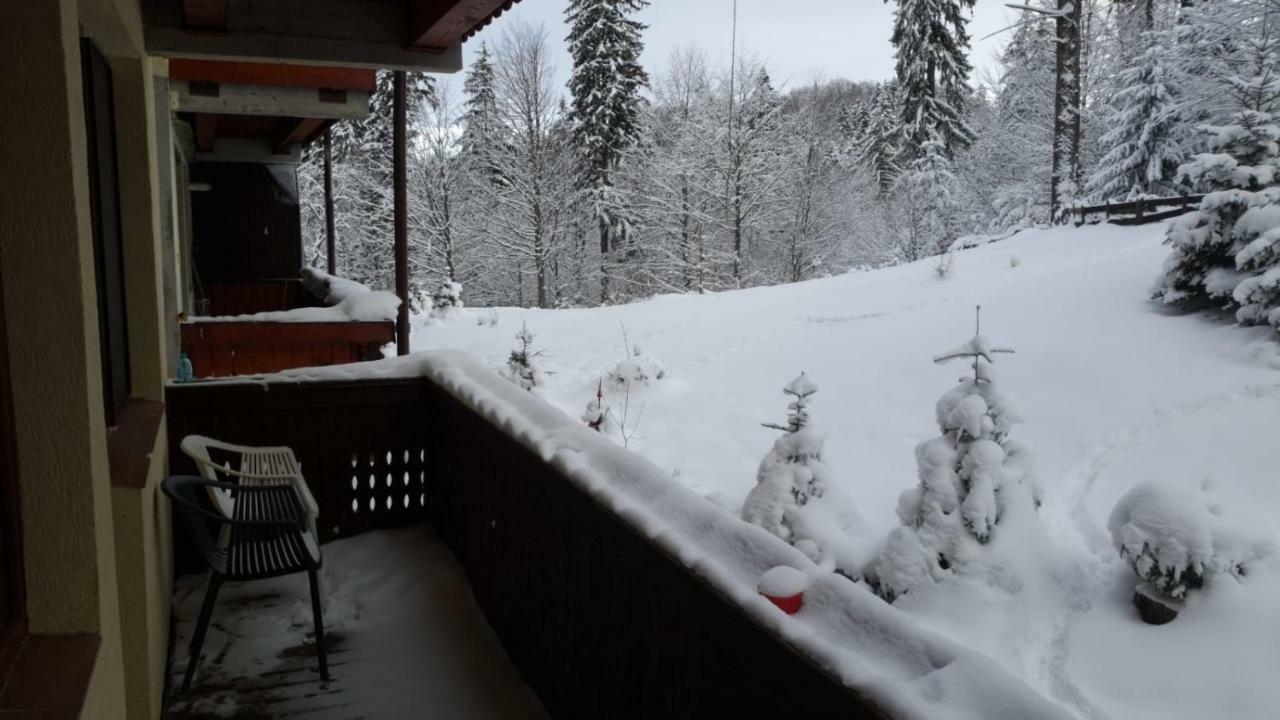 Fairytale Apartment Close To Bradu Ski Slope Poiana Braşov Dış mekan fotoğraf